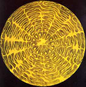 cymatics articles